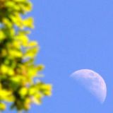 Mond von Jochen Ruser